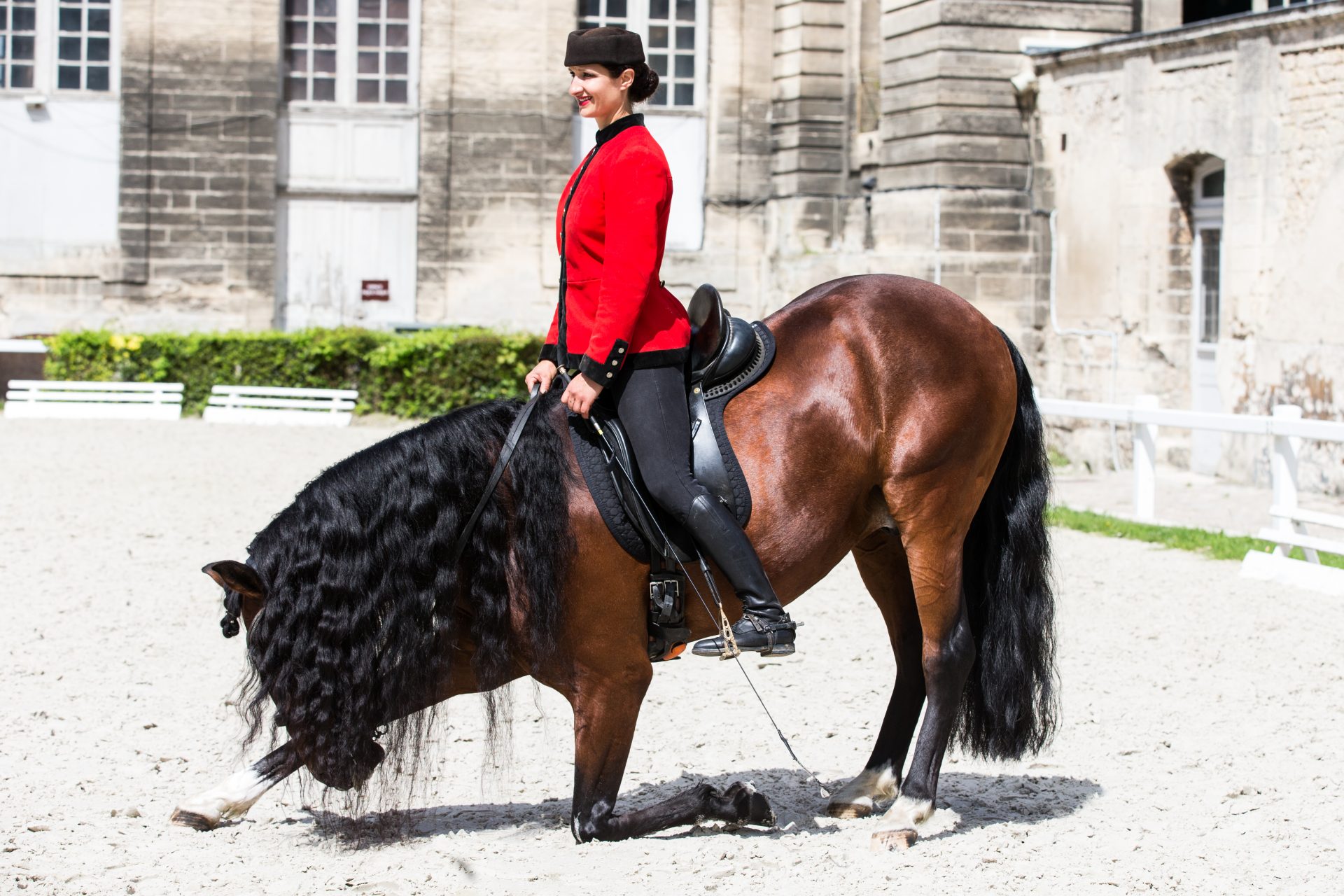 Living Horse Museum - Grandes Ecuries du Château de Chantilly - Chantilly  Senlis Tourisme