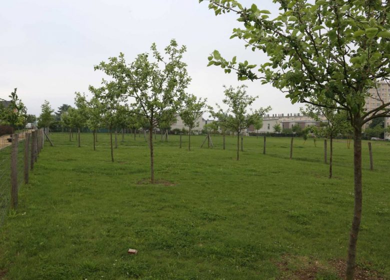 Green corridor of Montataire - Chantilly Senlis Tourism