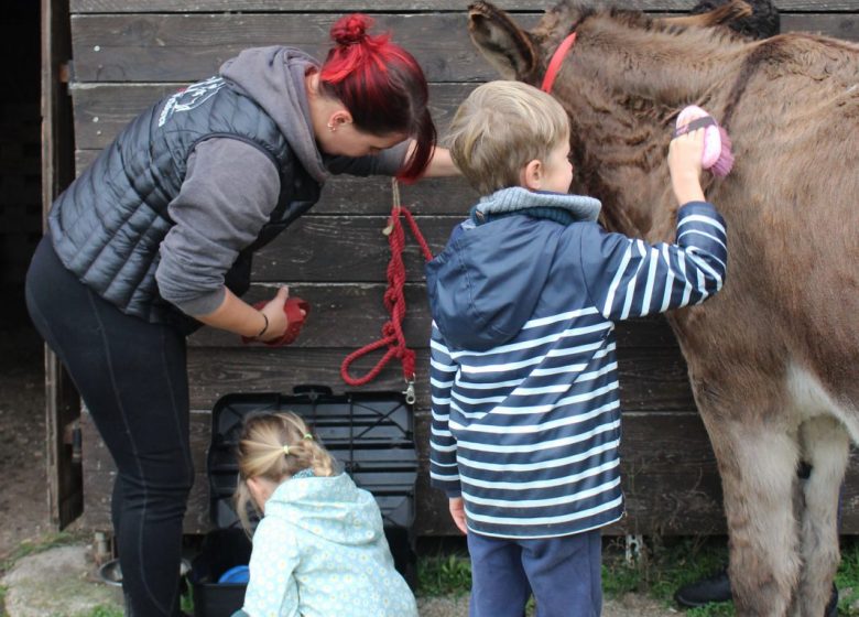 Atelier enfant « Découverte de l’âne » à Chantilly