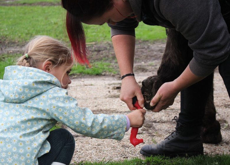 Atelier enfant « Découverte de l’âne » à Chantilly