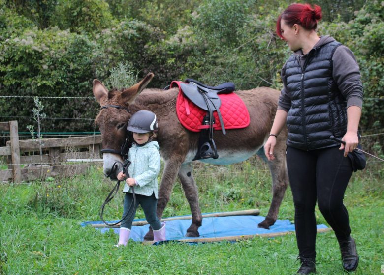 Atelier enfant « Découverte de l’âne » à Chantilly