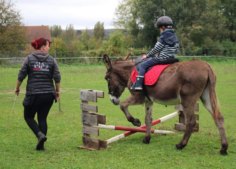 Atelier enfant « Découverte de l’âne » à Chantilly