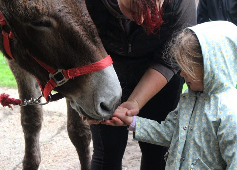 Atelier enfant « Découverte de l’âne » à Chantilly