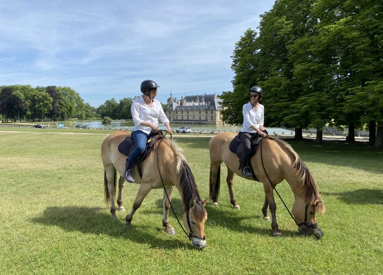 Espace Equestre Henson Chantilly-Apremont