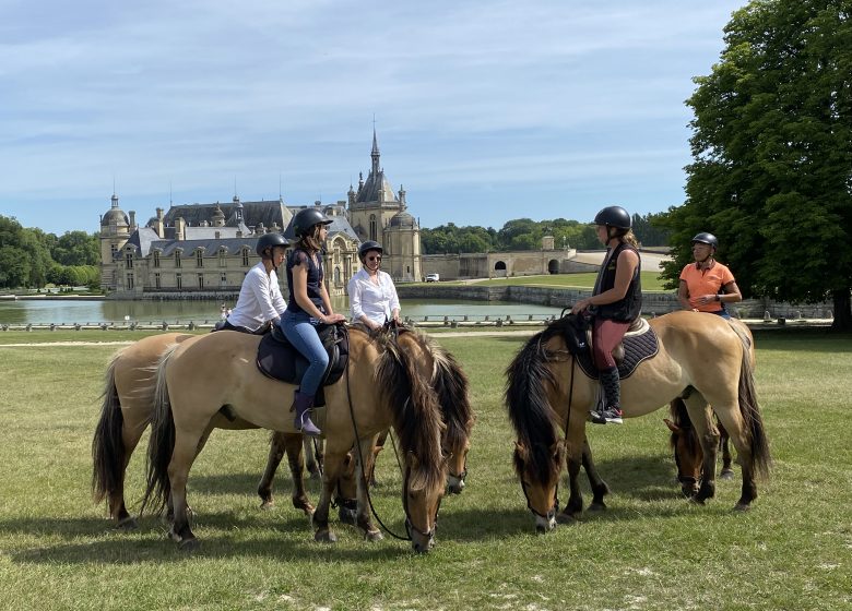 Espace Equestre Henson Chantilly-Apremont