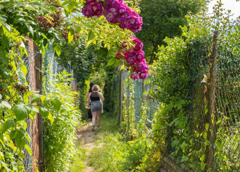 Journées du Patrimoine | RDV Secret « Balade musicale et contée dans les jardins de Cricri »