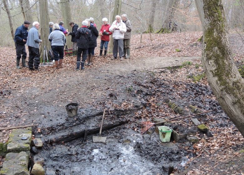 Entretien de la source du Bois Brandin à Coye-la-Forêt