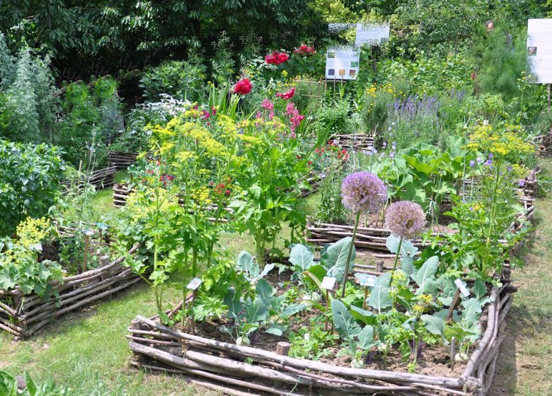 Conférence sur les Jardins de Cure au centre Culturel de Coye-la-Forêt